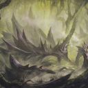 Swamp
