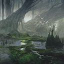 Swamp