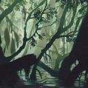 Swamp