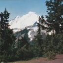 Mt Baker From Mazama Ridge