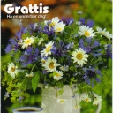 Grattis  Ha en underbar dag!