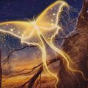 Goldenglow Moth