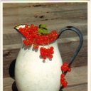 Ribes rubrum