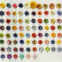 Mayflowers from 1907 to 2012