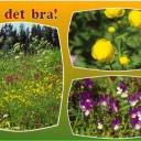 Ha det bra!