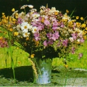 Blommor till dig!