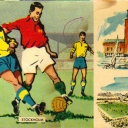 World Championship in football 1958