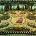 Cactus group: contains 25.000 Caci