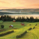 Landscape view