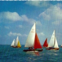 Sailboats race