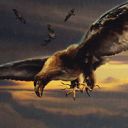 Squadron Hawk