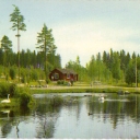 Gamla svandammen