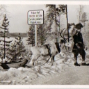 Arctic circle