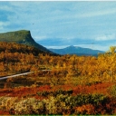 Mittåkläppen