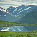 Renbetesland