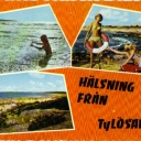 Greetings from Tylösand