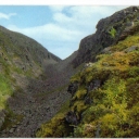 Höglekardalen