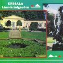Linnéträdgården