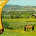 Siljansnäs