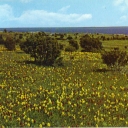 Adam och Eva (Gotland)