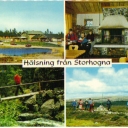 Views from Storhogna (Härjedalen)
