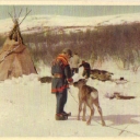 Draghärken infångas