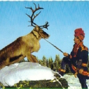 Guttorm Labba med hark