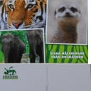 Vilda Haelsningard Fran Kolmarden