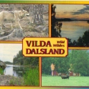 Vilda Dalsland   Wild Wildes