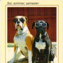 Sol, sommar, semester