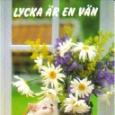 Cat and flowers (Happiness is a friend)