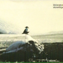 Dipper ( Sendentary Bird)