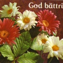 God bättring!