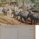 Carrying heavy Logs