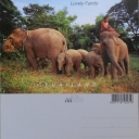 Mothers and Babies in Ayuthaya Kraal