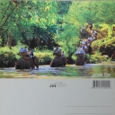 Elephants Logging Teakwood