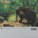 Elephant Trekking