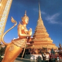 Kinnari - Wat Phra Kaew. Bangkok