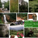 Khao Yai National Park
