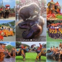 Ayutthaya, The Royal Elephant Kraal Village