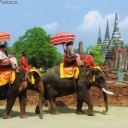 Ayutthaya. Elephants Palace
