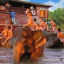 Ayutthaya. The Royal Elephant Kraal Village. Young Mahouts