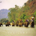 Jungle Tour North-Thailand