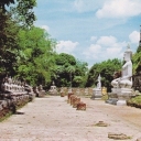 Wat Yai Chai Mongkhol 1