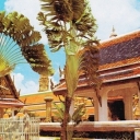 Wat Phra Keo