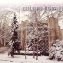 Bendery. City library