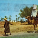 Ile De Djerba Laa Johfa