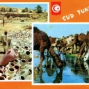 South-Tunisian Desert