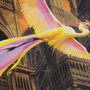 Birds of Paradise