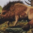 Brindle Boar
